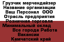 Грузчик-мерчендайзер › Название организации ­ Ваш Персонал, ООО › Отрасль предприятия ­ Розничная торговля › Минимальный оклад ­ 12 000 - Все города Работа » Вакансии   . Камчатский край,Петропавловск-Камчатский г.